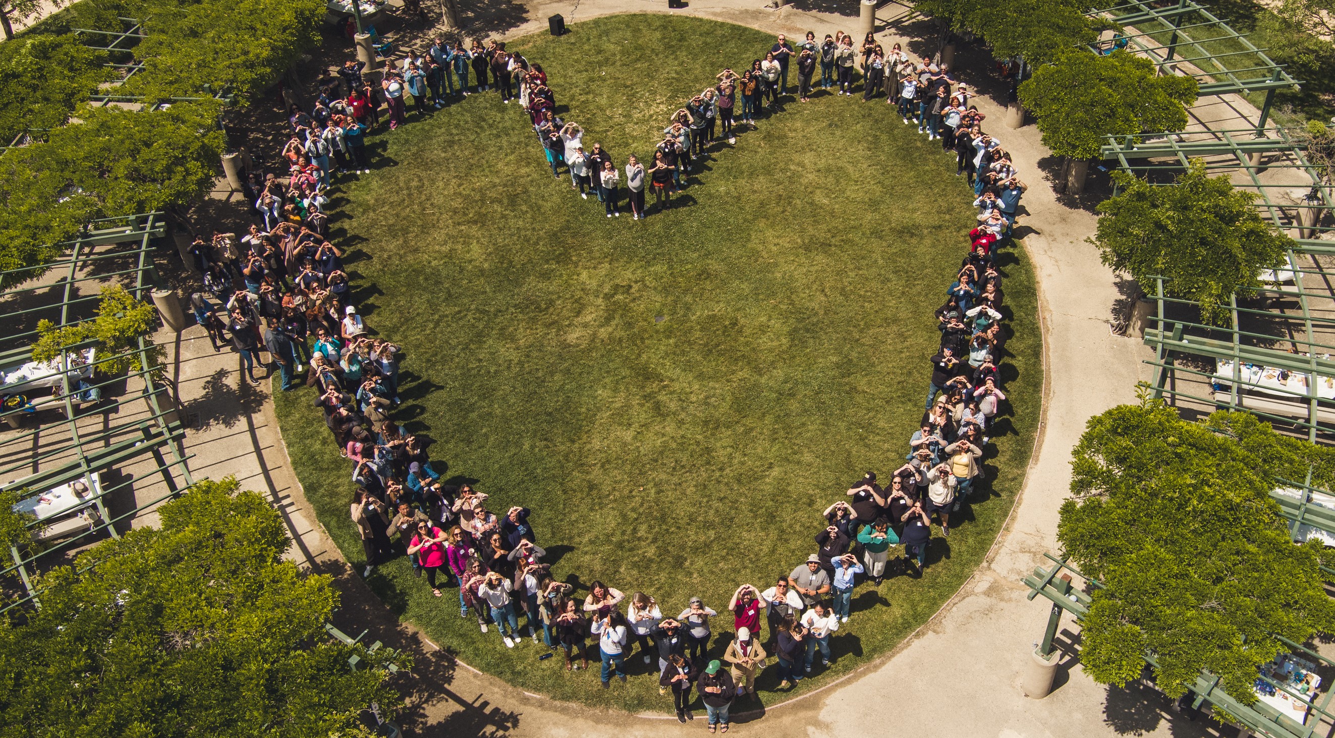 Aerial view of people standing forming a heart