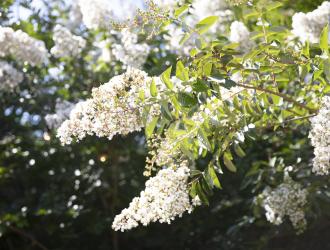 New and Prospective Member Reception - August 27, 2024