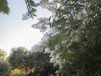 New and Prospective Member Reception - August 27, 2024