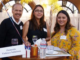 Domestic Violence Solutions