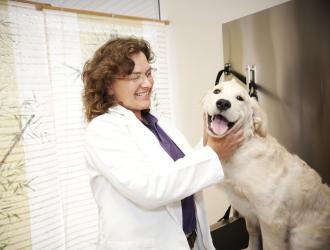 Womens Economic Ventures: a new veterinarian practice with a four-legged patient