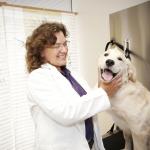 Womens Economic Ventures: a new veterinarian practice with a four-legged patient